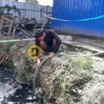 Sedot WC Daliman (2)